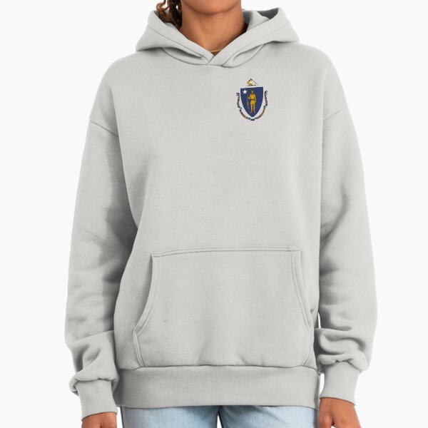 Massachusetts flag - Adult & Kids T-Shirts, Sweatshirts & Hoodies apparel design preview 1