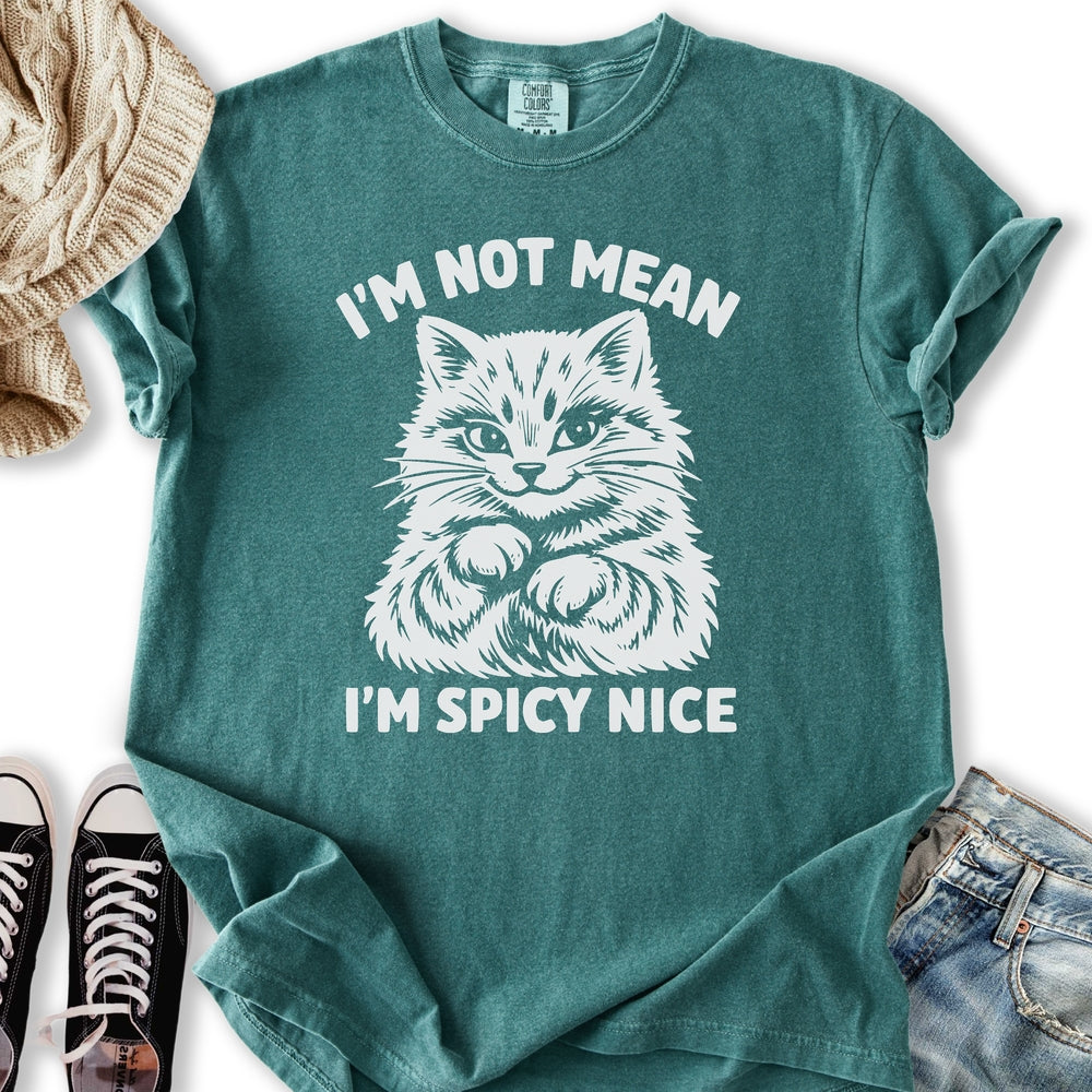 Spicy Nice - Adult & Kids T-Shirts, Sweatshirts & Hoodies apparel design preview 1