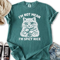 Spicy Nice - Adult & Kids T-Shirts, Sweatshirts & Hoodies apparel design preview 1