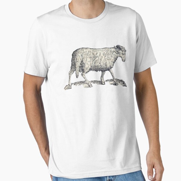 Woodcuts bestiary arabian sheep - Adult & Kids T-Shirts, Sweatshirts & Hoodies apparel design preview 1