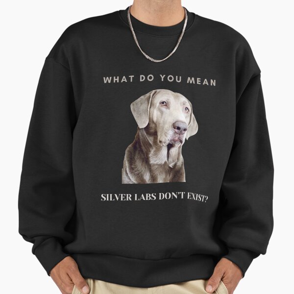 Silver Lab Love - Adult & Kids T-Shirts, Sweatshirts & Hoodies apparel design preview 1
