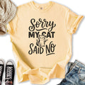 Cat Said No - Adult & Kids T-Shirts, Sweatshirts & Hoodies apparel design preview 1