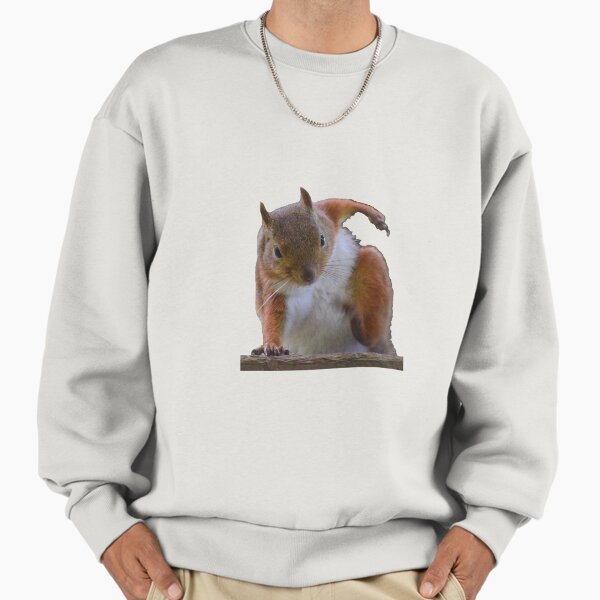 Squirrel Hero Landing Bearskin - Adult & Kids T-Shirts, Sweatshirts & Hoodies apparel design preview 1