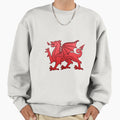 Welsh Red Dragon. Leather texture. - Adult & Kids T-Shirts, Sweatshirts & Hoodies apparel design preview 1