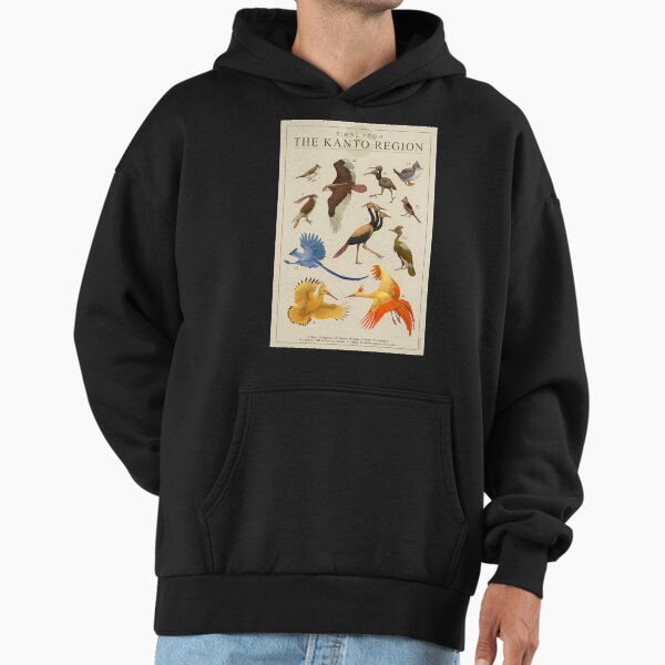 Birds of Kanto - Adult & Kids T-Shirts, Sweatshirts & Hoodies apparel design preview 1
