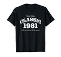 45 Year Old Car 1981 45Th Birthday T-Shirt - Unique Graphic for Adults - T-Shirt, Sweatshirt, Hoodie