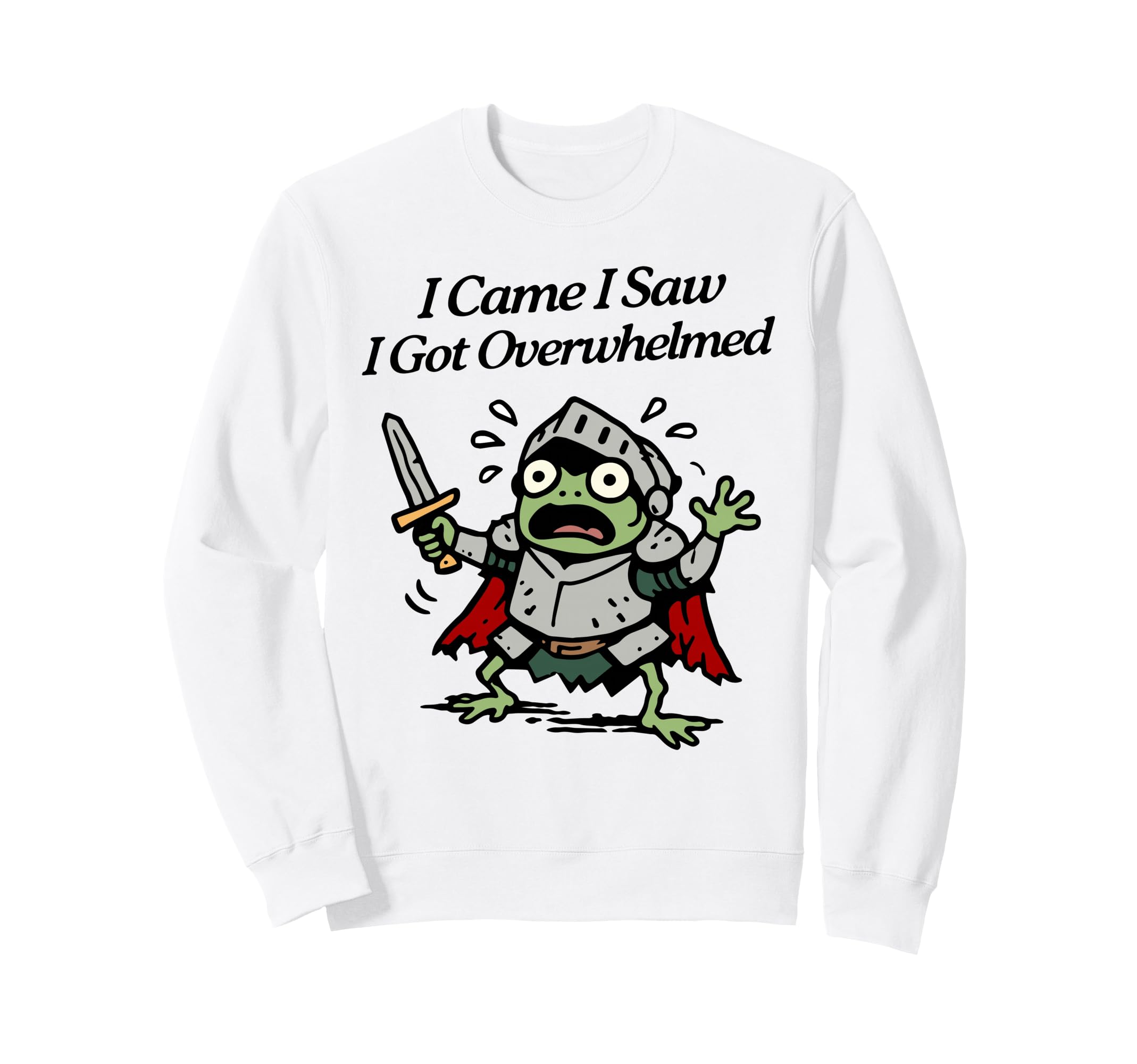 I Came I Saw I Got Overwhelmed Sweatshirt - Streetwear Style Men Women - T-Shirt, Sweatshirt, Hoodie