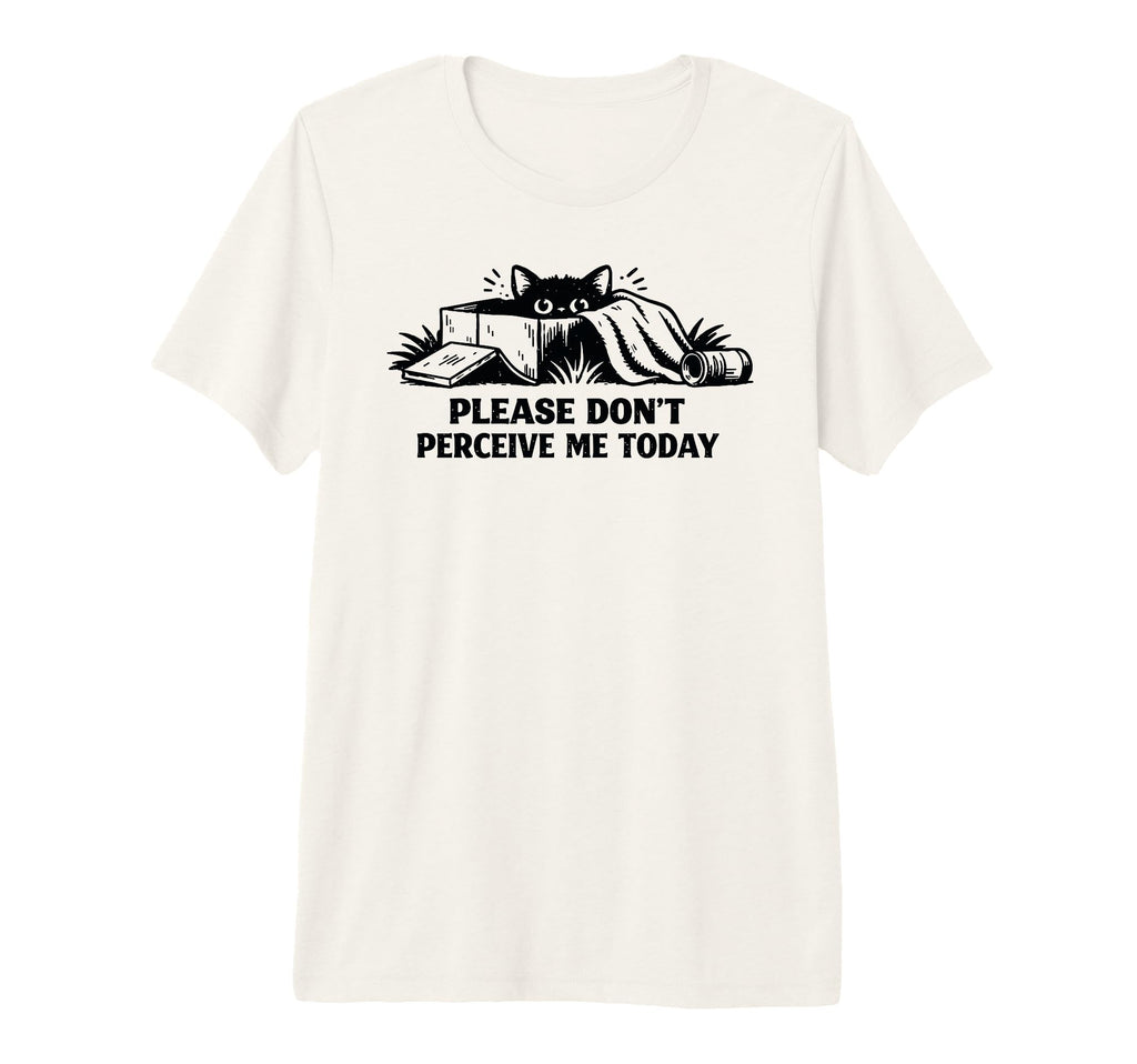 Please Dont Perceive Me Today Tri Blend T-Shirt - Aesthetic Graphic Unisex - T-Shirt, Sweatshirt, Hoodie