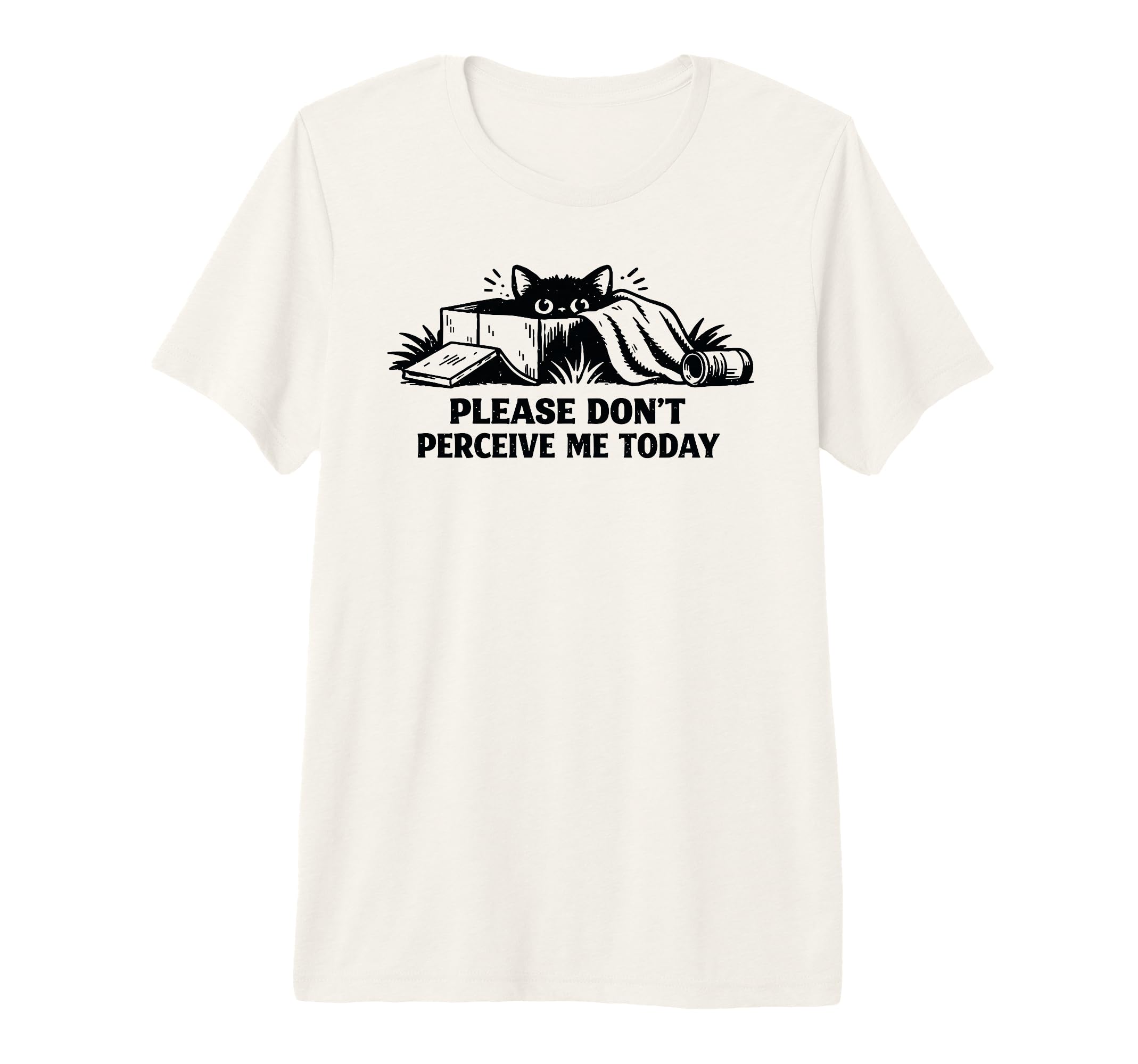 Please Dont Perceive Me Today Tri Blend T-Shirt - Aesthetic Graphic Unisex - T-Shirt, Sweatshirt, Hoodie