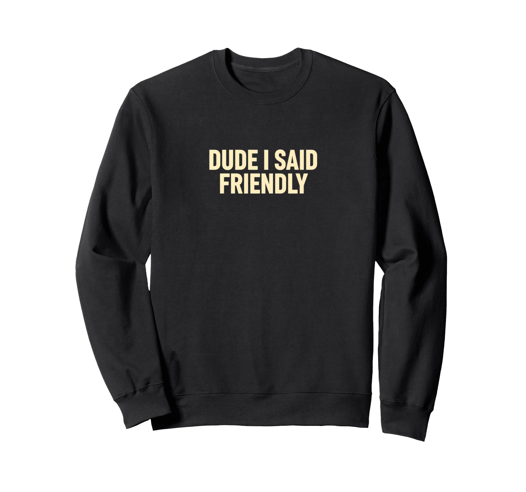 Dude I Said Friendly Gaming Sweatshirt - Casual Everyday Wear for Adults - T-Shirt, Sweatshirt, Hoodie