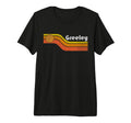 Greeley 70S 80S Tri Blend T-Shirt - Graphic Print for Adults - T-Shirt, Sweatshirt, Hoodie