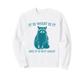 Funny It Is Not Great Racoon Meme Sweatshirt - Custom Art Print Unisex - T-Shirt, Sweatshirt, Hoodie