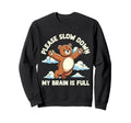 Please Slow Down My Brain Is Sweatshirt - Casual Everyday Wear Men Women - T-Shirt, Sweatshirt, Hoodie