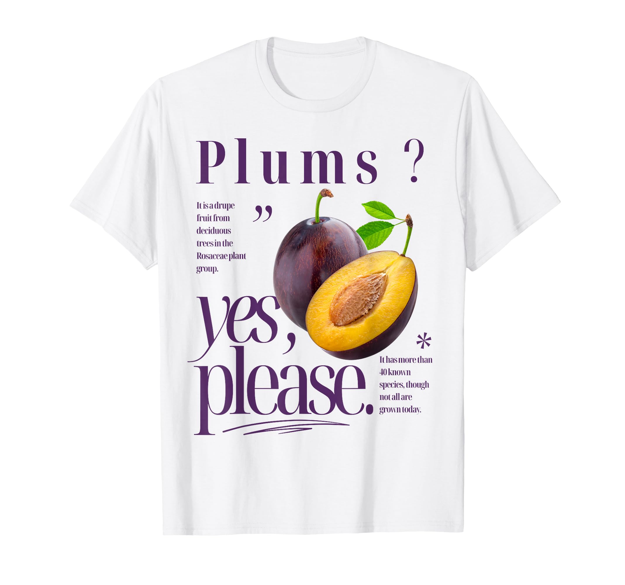 Plums Yes Please Fruit Typography T-Shirt - Streetwear Style for Adults - T-Shirt, Sweatshirt, Hoodie