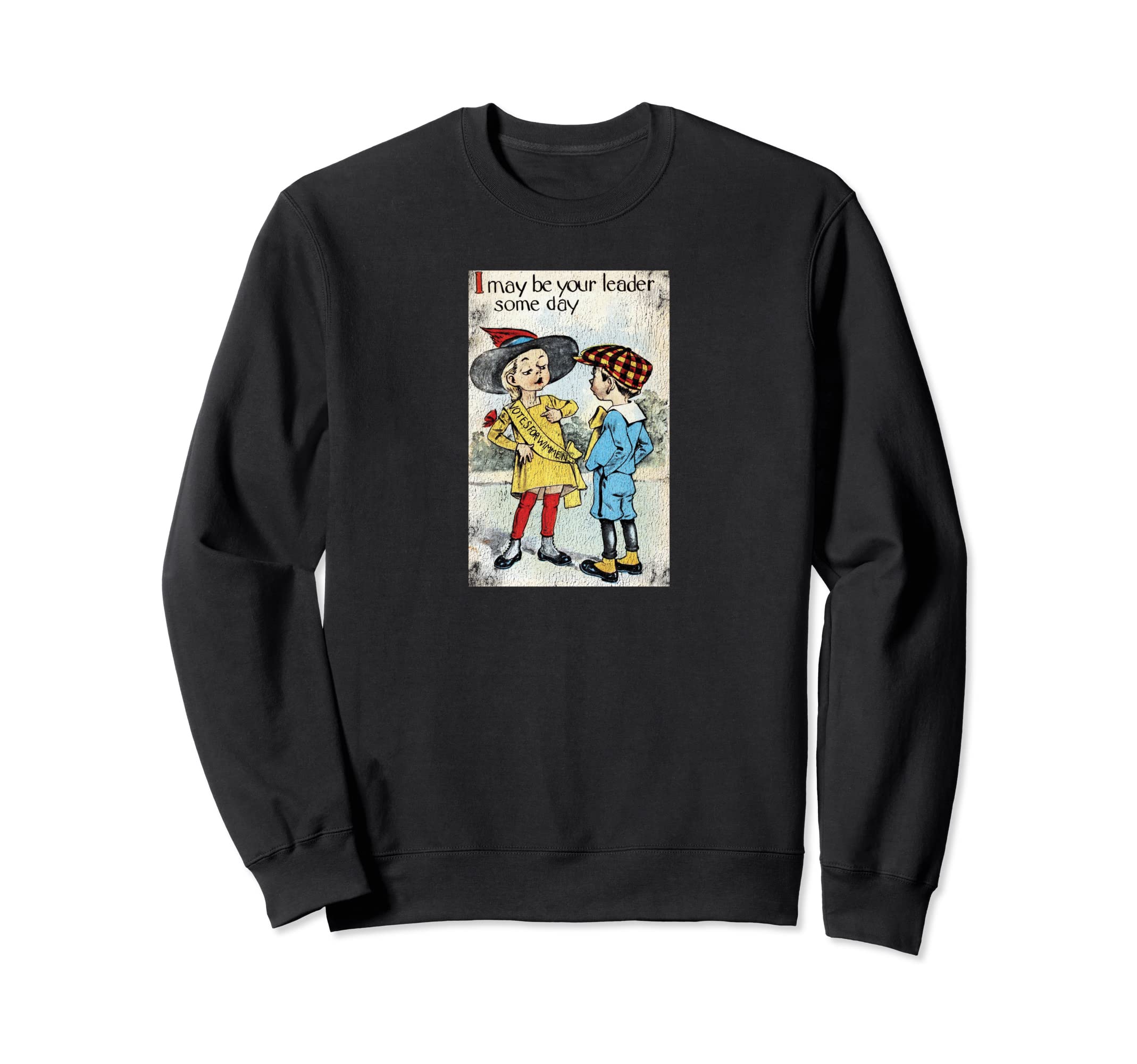 19Th Amendment 100 Year Anniversary Sweatshirt - Fun Novelty Design Unisex - T-Shirt, Sweatshirt, Hoodie