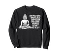 Spiritual Seeker Meditation Reiki Sweatshirt - Novelty Apparel Men Women - T-Shirt, Sweatshirt, Hoodie