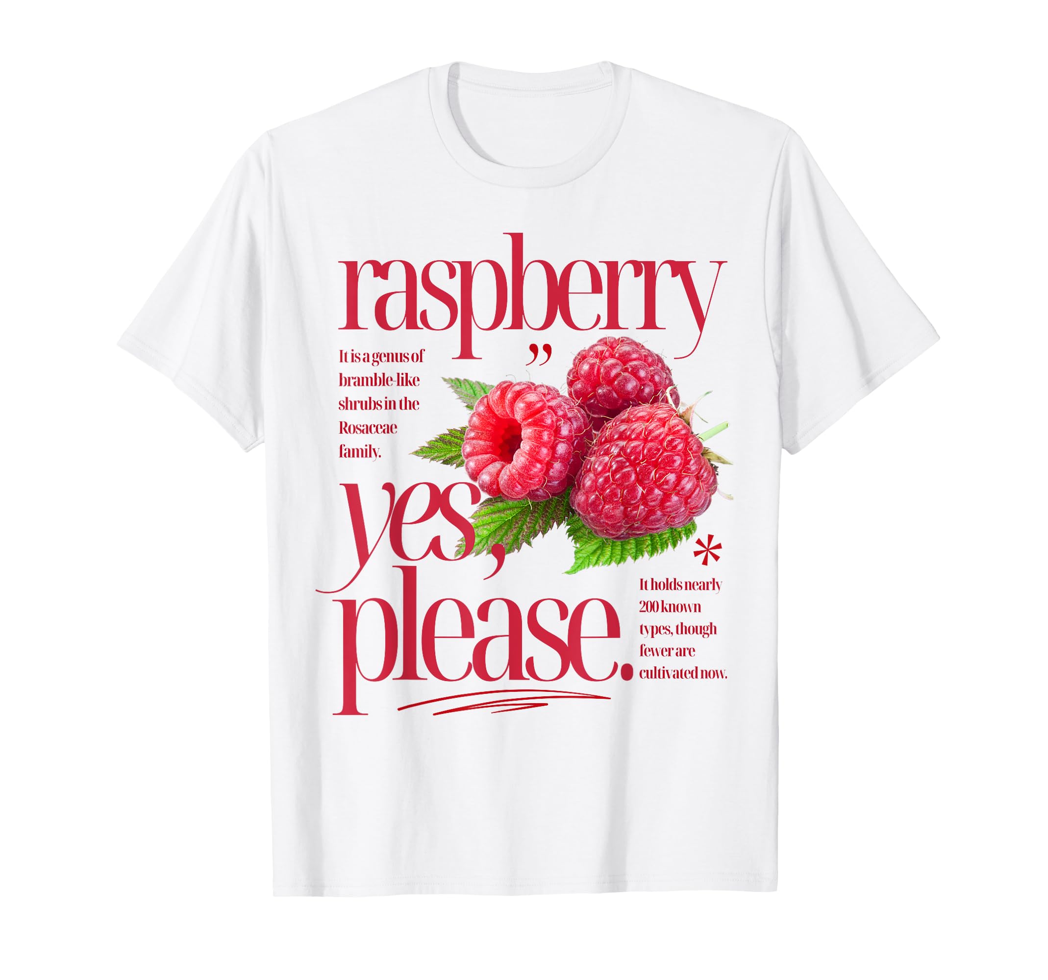 Raspberry Yes Please Fruit T-Shirt - Casual Everyday Wear Men Women - T-Shirt, Sweatshirt, Hoodie
