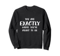 Exactly Where Youre Meant To Be Sweatshirt - Trendy Graphic Men Women - T-Shirt, Sweatshirt, Hoodie