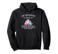 Funny Gemstone Chakra Healer Hoodie - Casual Everyday Wear Men Women - T-Shirt, Sweatshirt, Hoodie