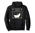 Party Like Its 2020 New Years Eve Nye Hoodie - Unique Graphic for Adults - T-Shirt, Sweatshirt, Hoodie