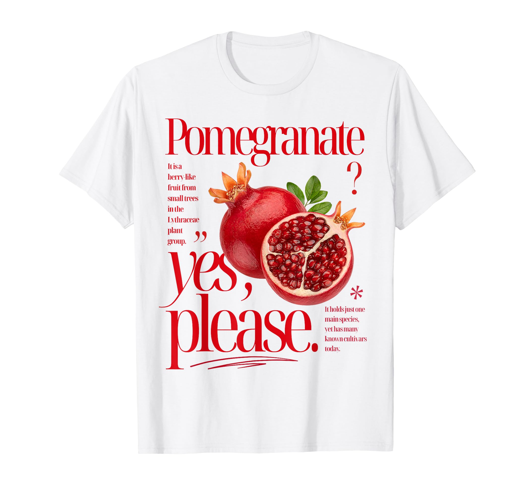 Pomegranate Yes Please Fruit T-Shirt - Trendy Graphic for Adults - T-Shirt, Sweatshirt, Hoodie