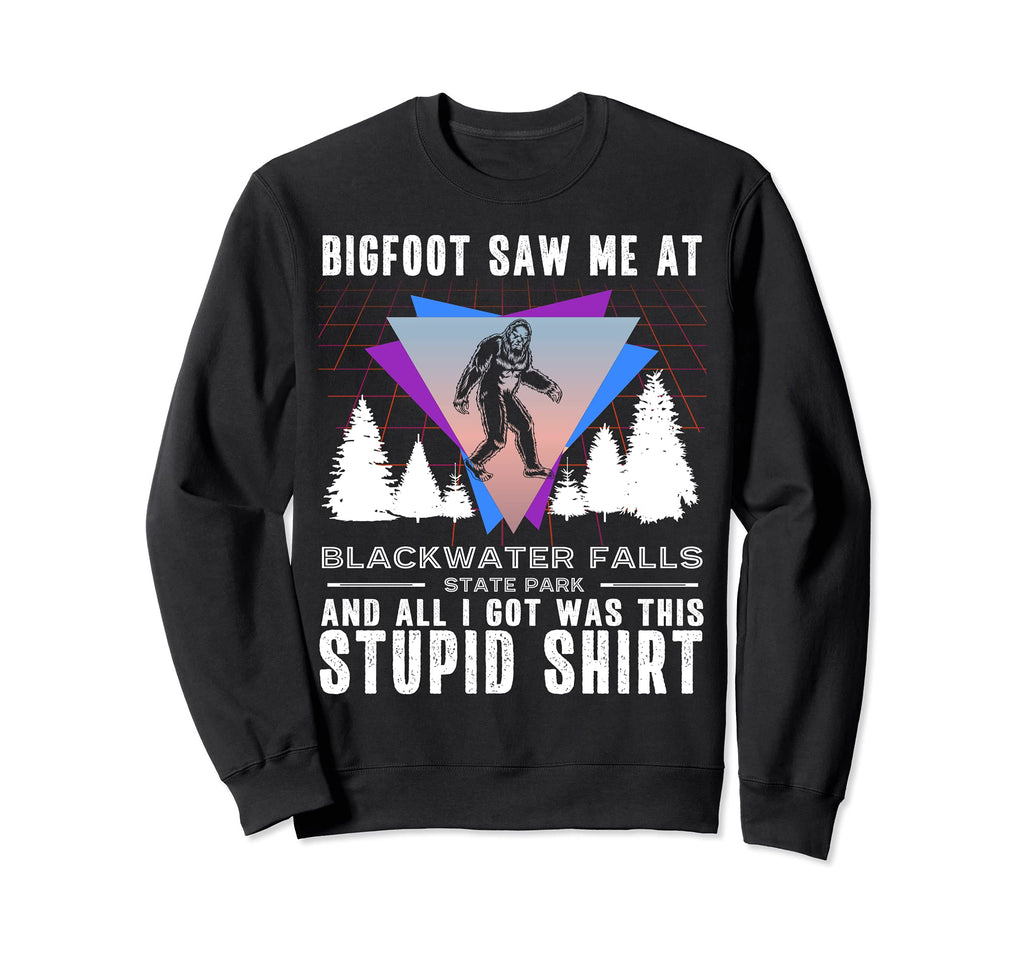 Blackwater Falls State Park West Sweatshirt - Aesthetic Graphic for Adults - T-Shirt, Sweatshirt, Hoodie