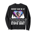 Blackwater Falls State Park West Sweatshirt - Aesthetic Graphic for Adults - T-Shirt, Sweatshirt, Hoodie