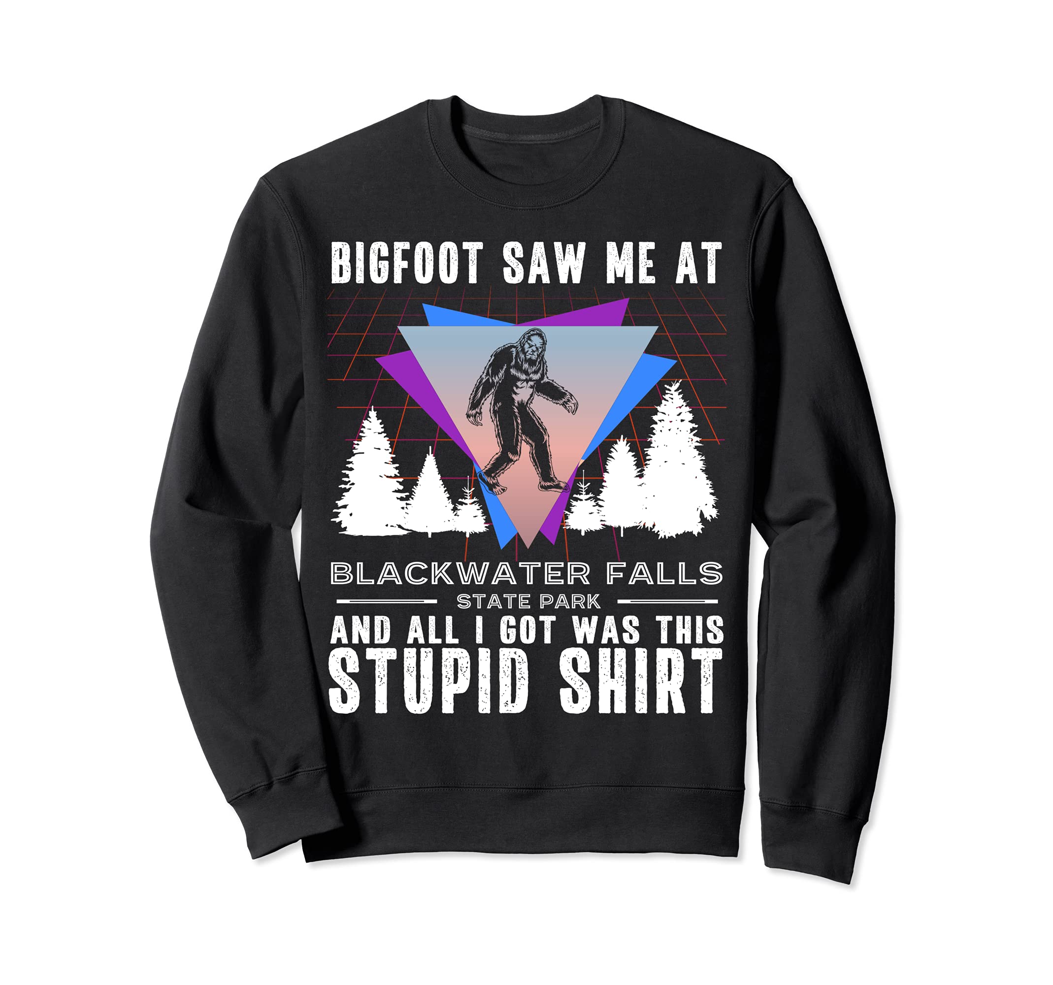 Blackwater Falls State Park West Sweatshirt - Aesthetic Graphic for Adults - T-Shirt, Sweatshirt, Hoodie