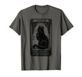 Professional Overthinker Cat Tarot T-Shirt - Unique Graphic for Adults - T-Shirt, Sweatshirt, Hoodie
