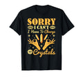 Sorry I Cant I Have To Charge My T-Shirt - Graphic Print for Adults - T-Shirt, Sweatshirt, Hoodie