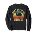 What Day Is It Hump Day Camel Sunset Sweatshirt - Graphic Print Unisex - T-Shirt, Sweatshirt, Hoodie