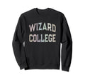 Silly Sarcastic Wizard College Sweatshirt - Novelty Apparel for Adults - T-Shirt, Sweatshirt, Hoodie
