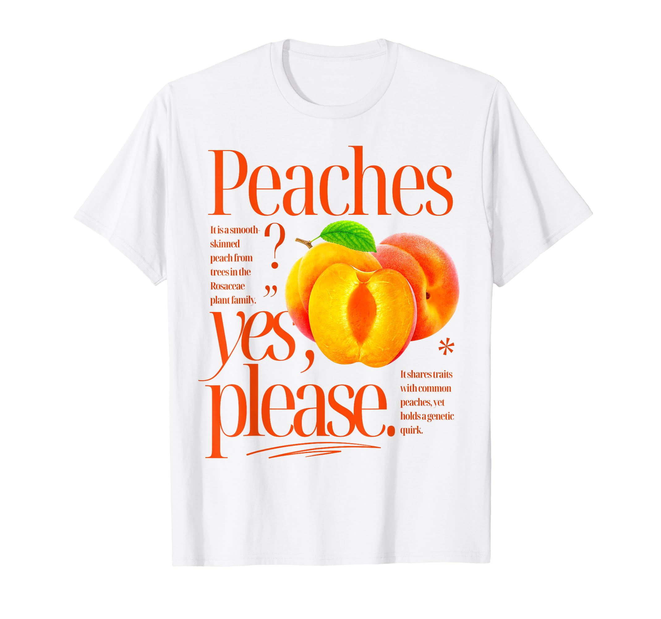 Peaches Yes Please Fruit T-Shirt - Fun Novelty Design for Adults - T-Shirt, Sweatshirt, Hoodie