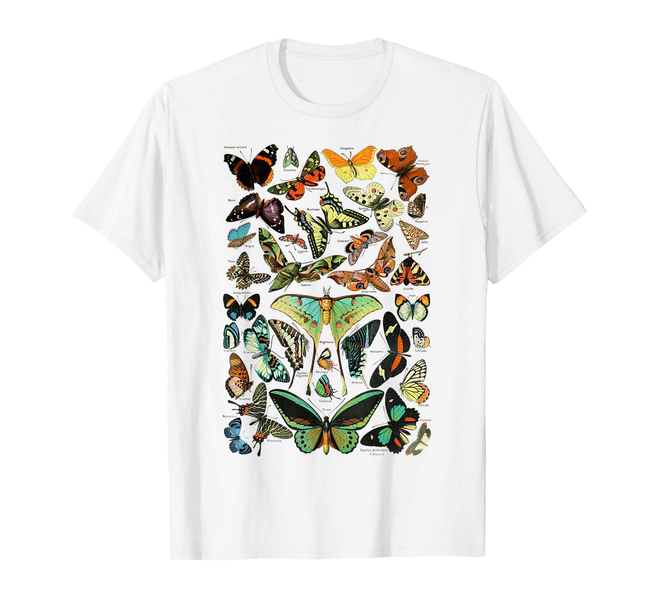 Butterflies Butterfly Collection T-Shirt - Novelty Apparel for Adults - T-Shirt, Sweatshirt, Hoodie