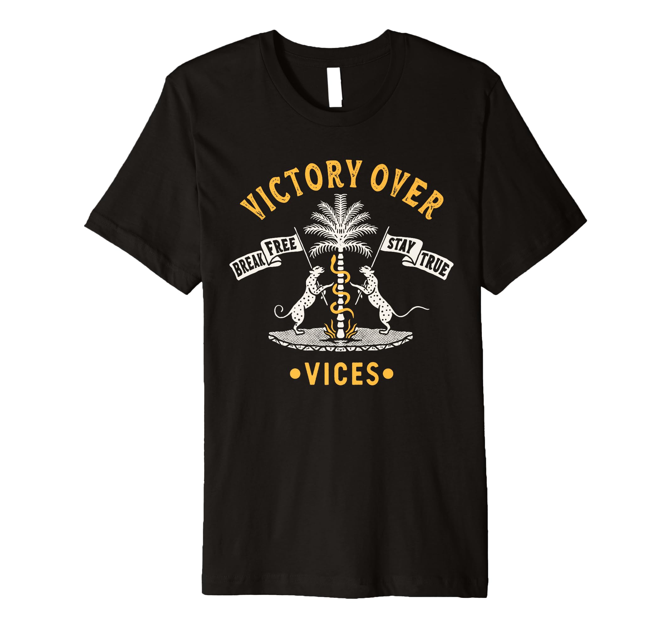 Victory Over Vices 12 Step Recovery T-Shirt - Novelty Apparel for Adults - T-Shirt, Sweatshirt, Hoodie