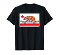 Skateboard Grizzly Bear California T-Shirt - Aesthetic Graphic for Adults - T-Shirt, Sweatshirt, Hoodie