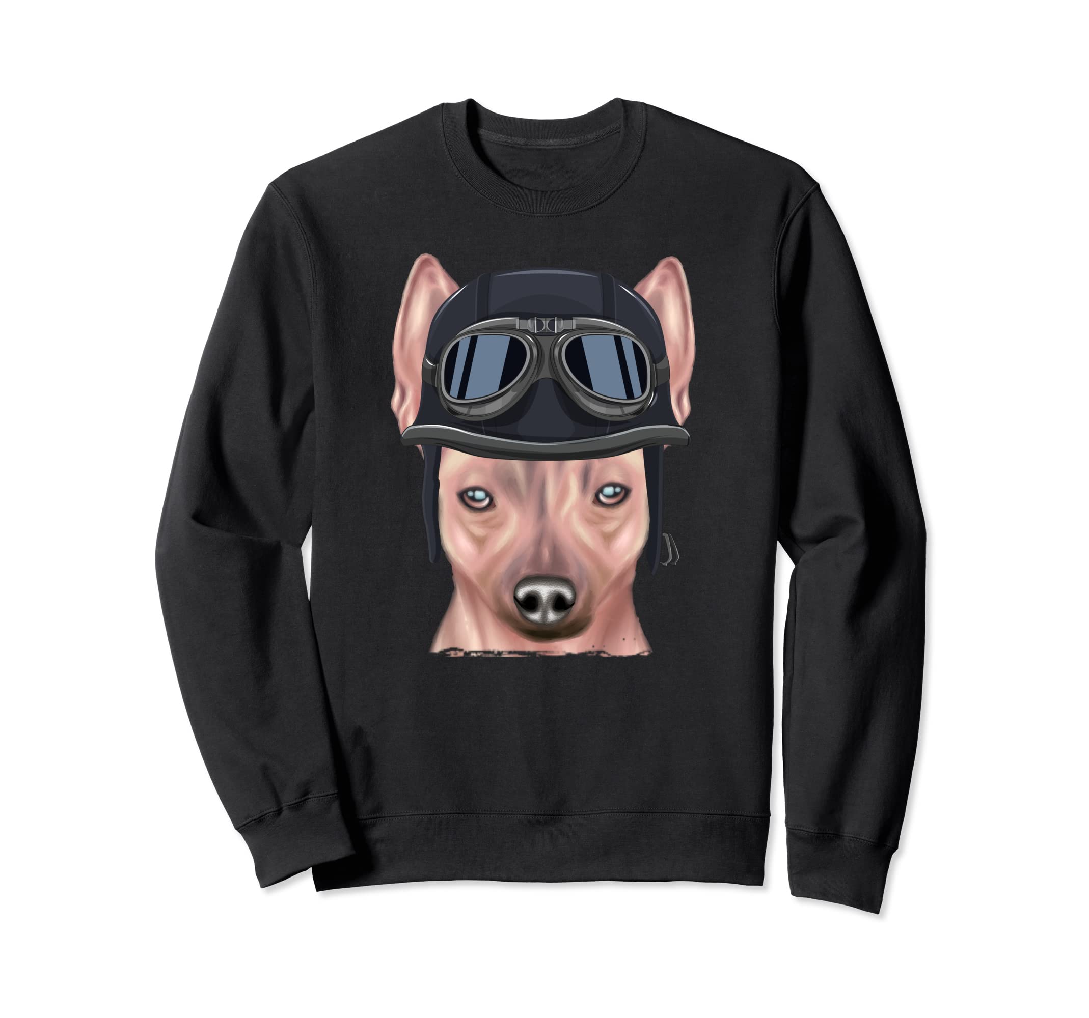 Funny Motorcycle Helmet American Sweatshirt - Aesthetic Graphic Men Women - T-Shirt, Sweatshirt, Hoodie