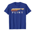 Pliny Wv Evergreen Sunset Eighties T-Shirt - Streetwear Style Unisex - T-Shirt, Sweatshirt, Hoodie