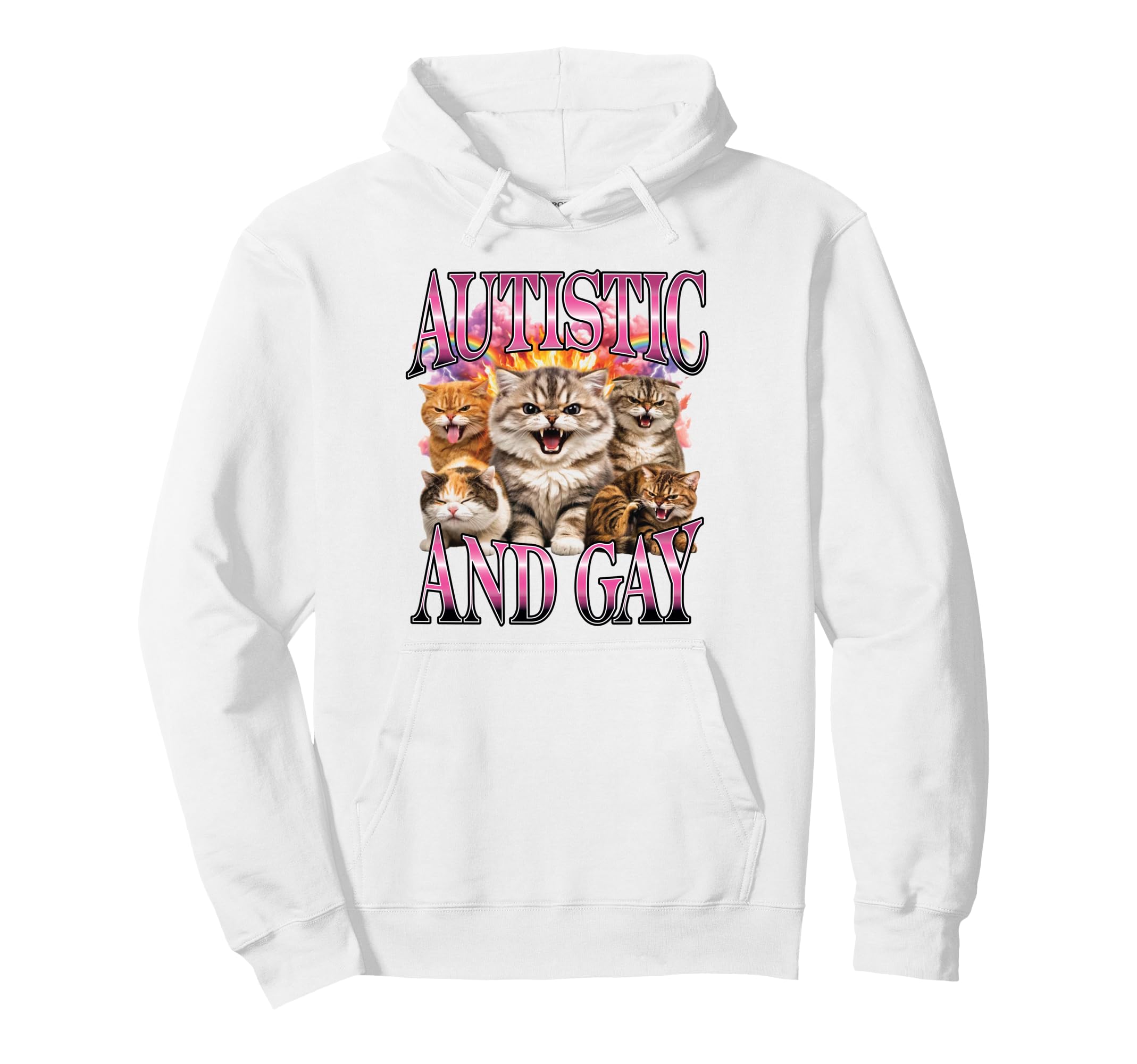Autistic And Gay Hissing Cats Rainbow Hoodie - Unique Graphic Men Women - T-Shirt, Sweatshirt, Hoodie
