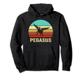 Sunset Pegasus Hoodie - Novelty Apparel Men Women - T-Shirt, Sweatshirt, Hoodie