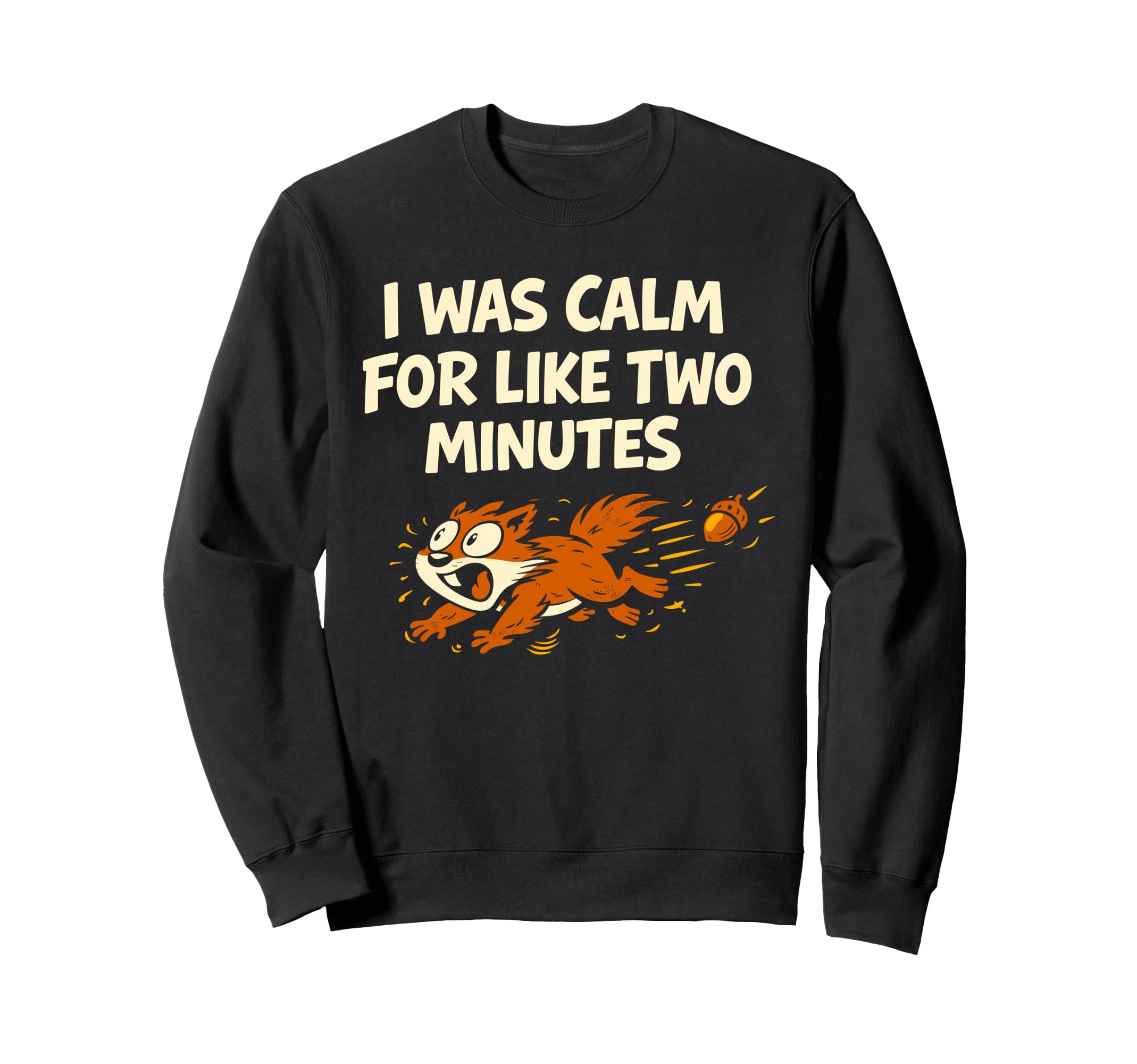 Funny Squirrel Chaotic Energy Sweatshirt - Novelty Apparel for Adults - T-Shirt, Sweatshirt, Hoodie