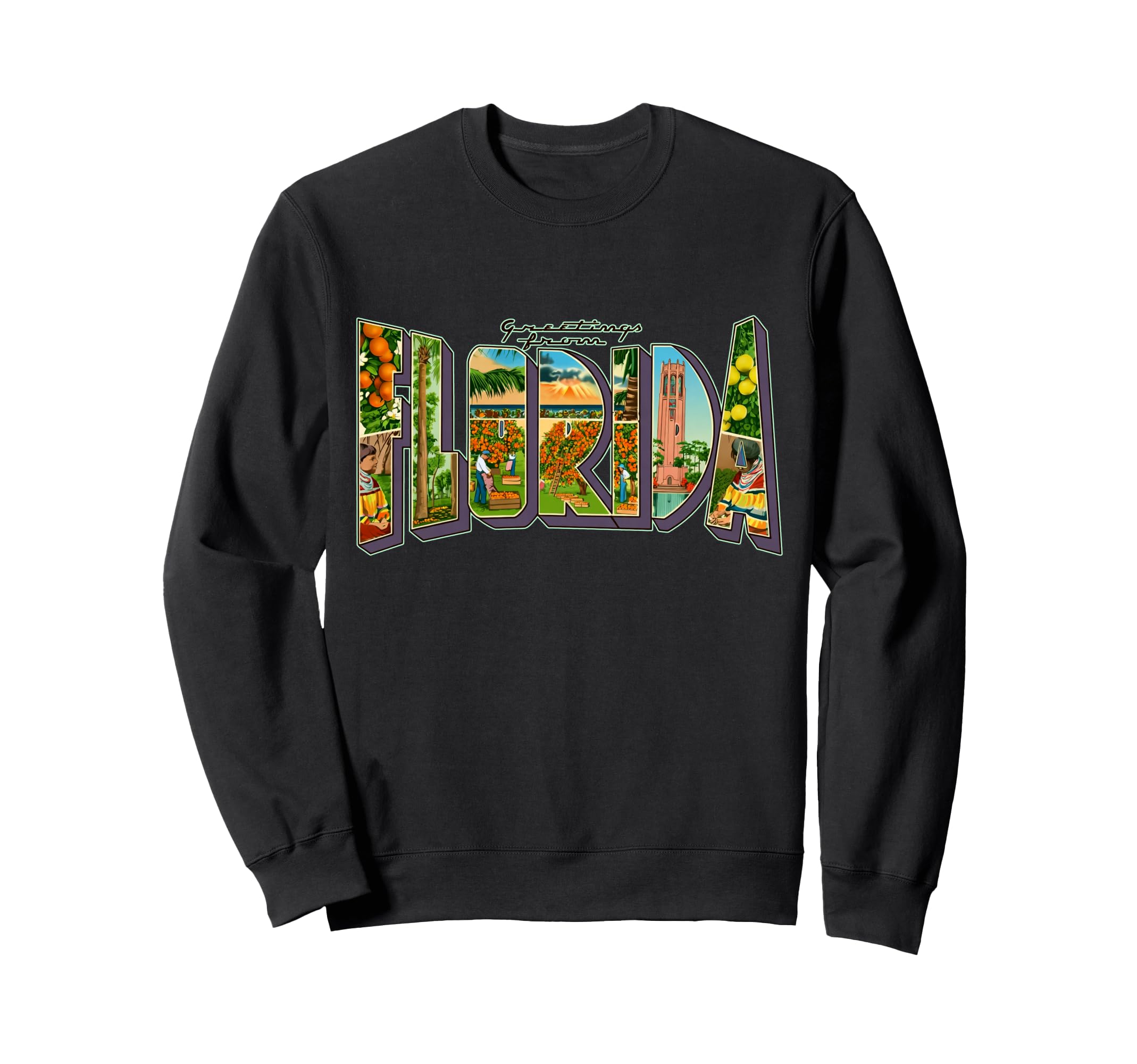 Greetings From Florida Postcard Sweatshirt - Novelty Apparel for Adults - T-Shirt, Sweatshirt, Hoodie