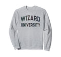 Crazy Sarcastic Wizard University Sweatshirt - Trendy Graphic for Adults - T-Shirt, Sweatshirt, Hoodie