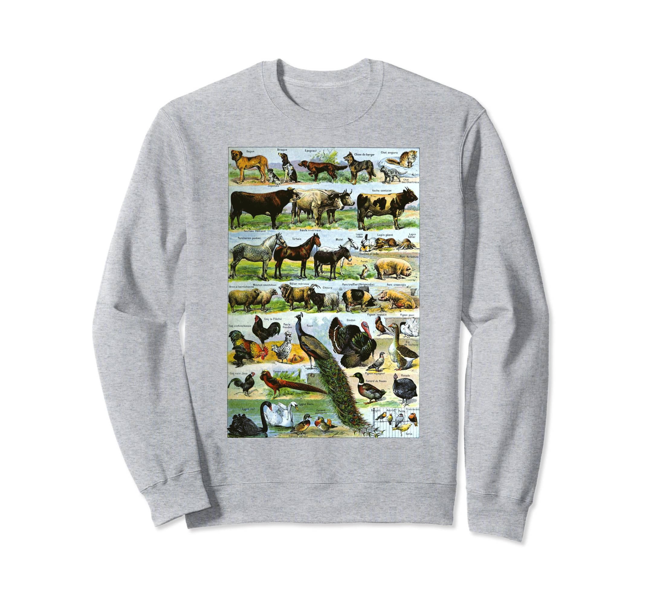 French Domestic Animals Sweatshirt - Minimalist Print Men Women - T-Shirt, Sweatshirt, Hoodie