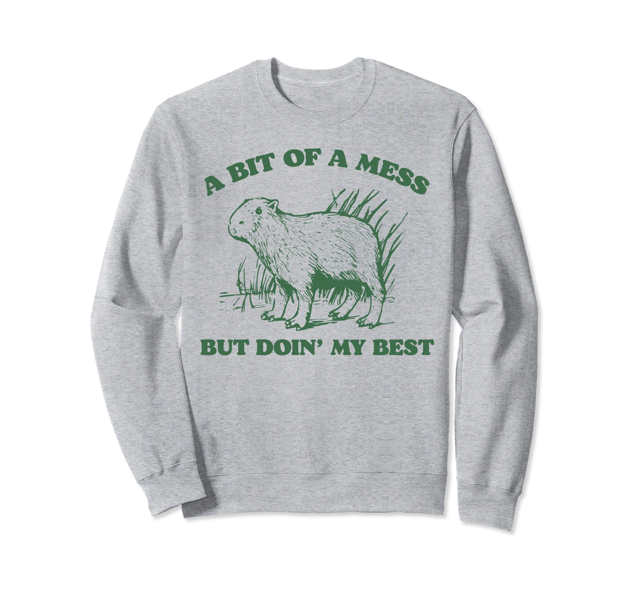 Bit Mess But Doin My Best Capybara Sweatshirt - Novelty Apparel Men Women - T-Shirt, Sweatshirt, Hoodie