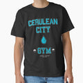Cerulean City Gym - Adult & Kids T-Shirts, Sweatshirts & Hoodies apparel design preview 1
