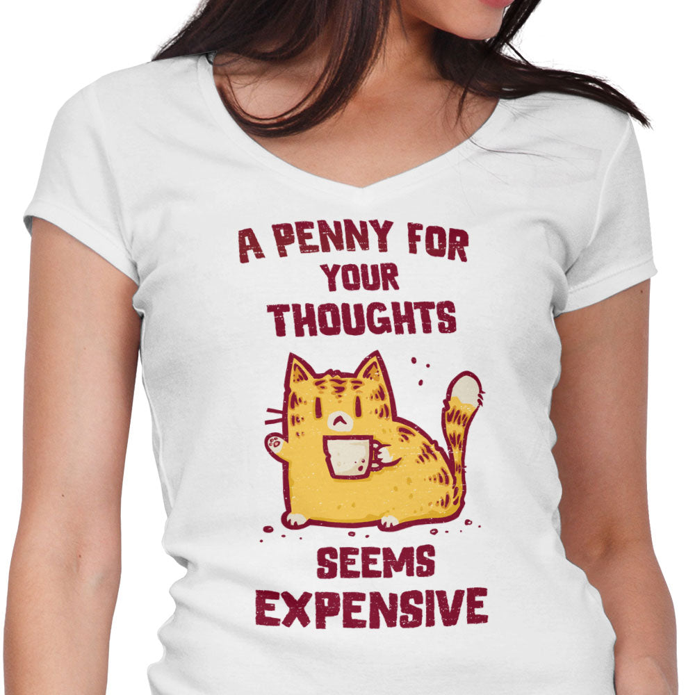 A Penny Seems Expensive Women's V-Neck - Adult & Kids T-Shirts, Sweatshirts & Hoodies apparel design preview 1