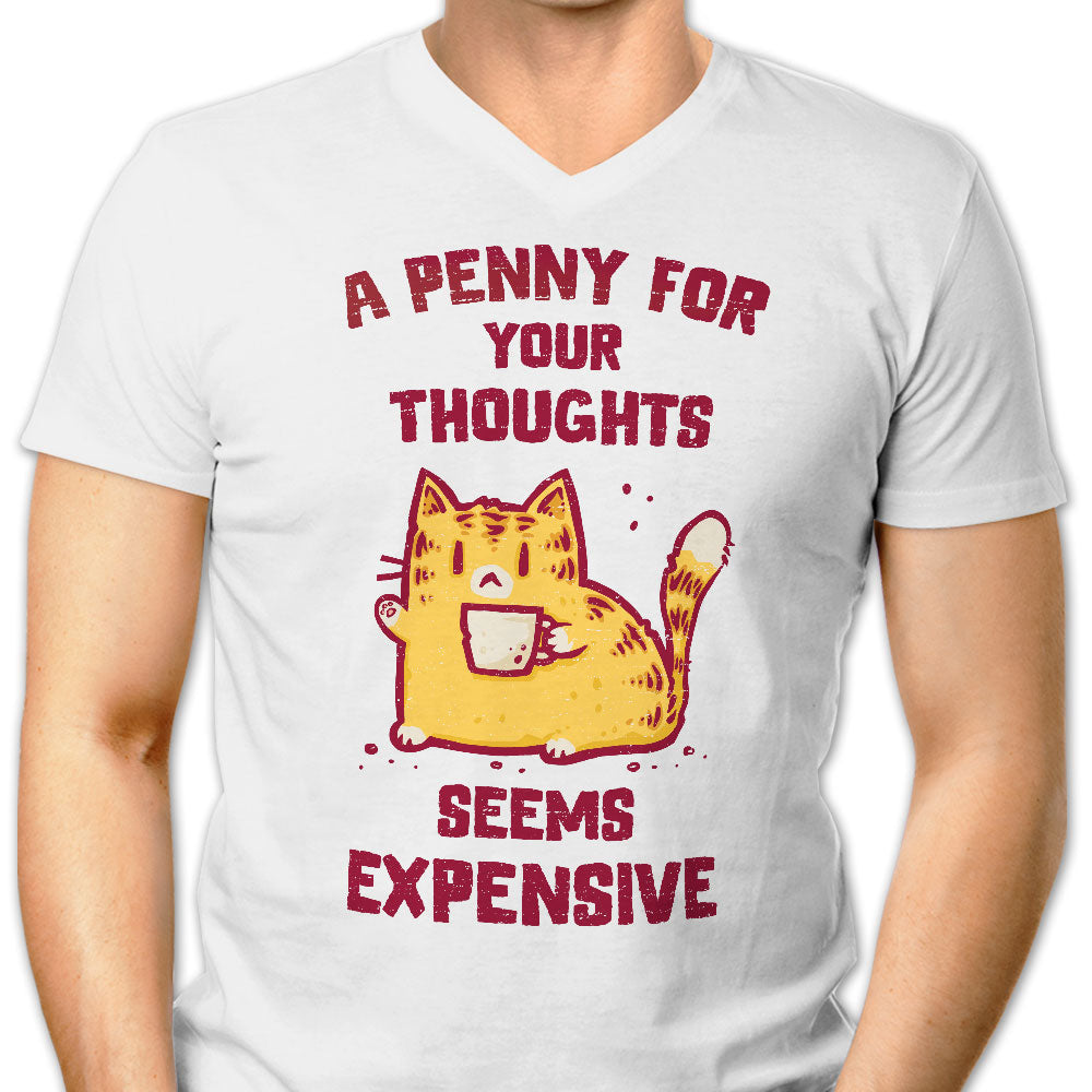 A Penny Seems Expensive Men's V-Neck - Adult & Kids T-Shirts, Sweatshirts & Hoodies apparel design preview 1