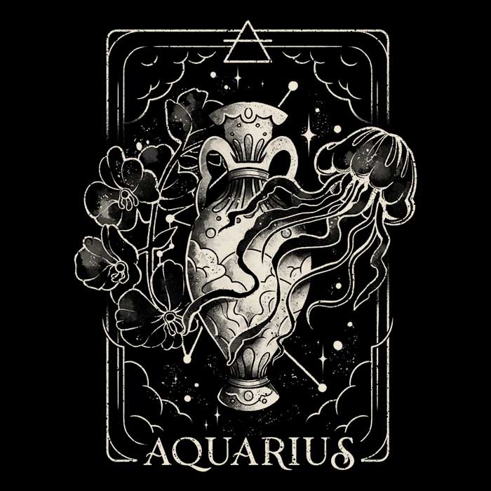 Aquarius (Edu.Ely) Men's Apparel - Adult & Kids T-Shirts, Sweatshirts & Hoodies apparel design preview 2