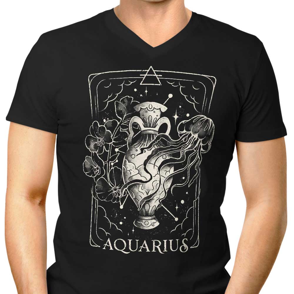 Aquarius (Edu.Ely) Men's V-Neck - Adult & Kids T-Shirts, Sweatshirts & Hoodies apparel design preview 1